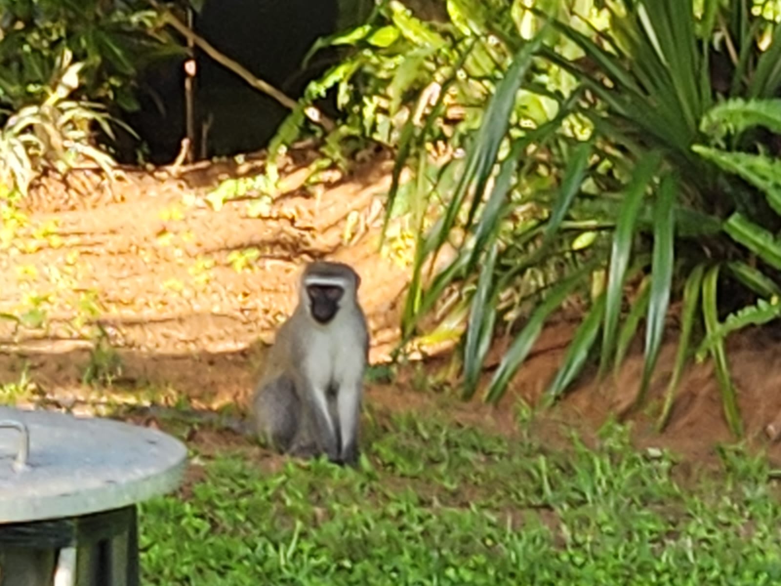 Adventure St Lucia